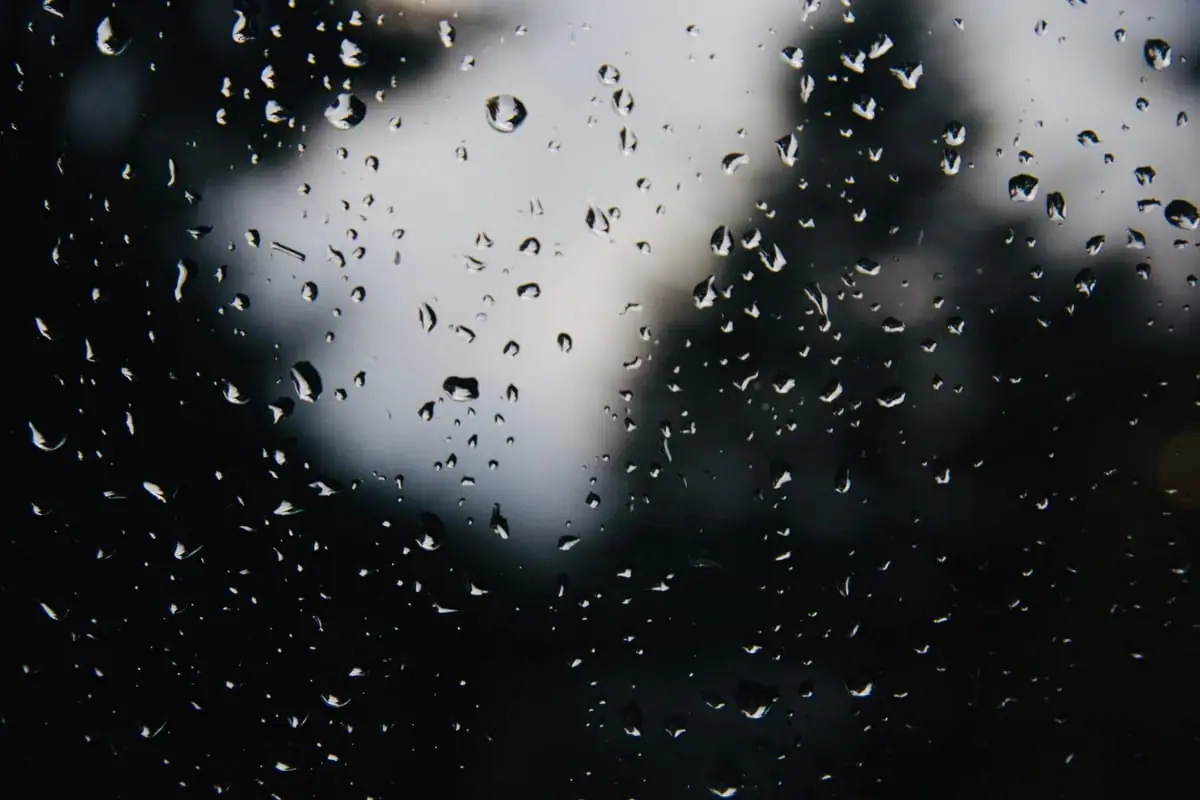 Storm-Damaged Windows: Repair or Replace?