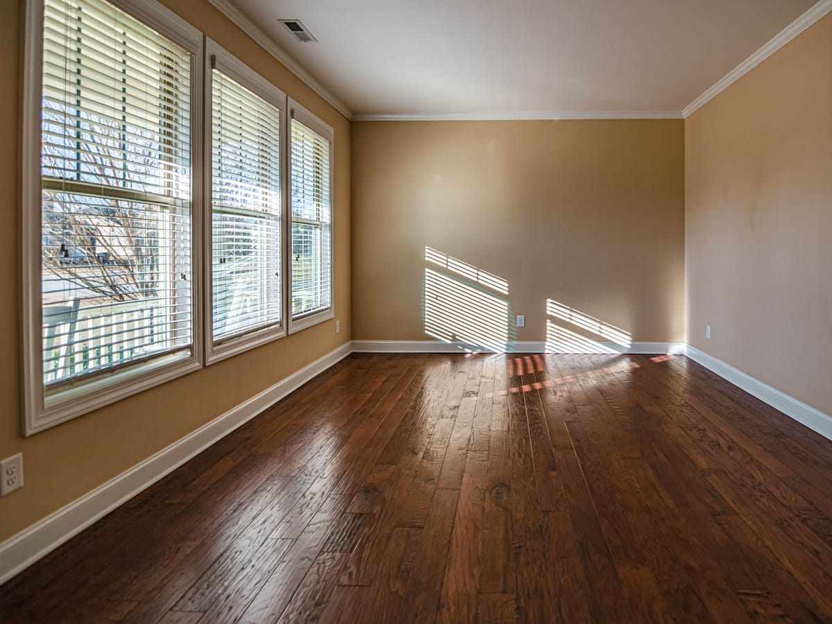 Sunlight through energy-efficient windows in a bright living room