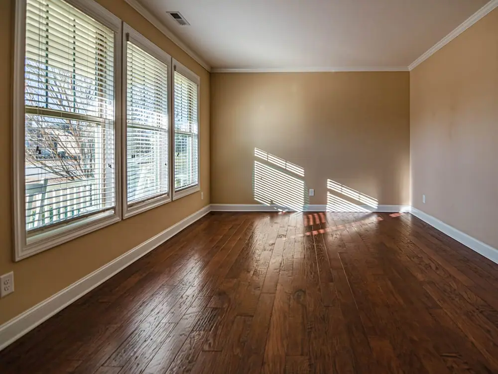 Sunlight through energy-efficient windows in a bright living room